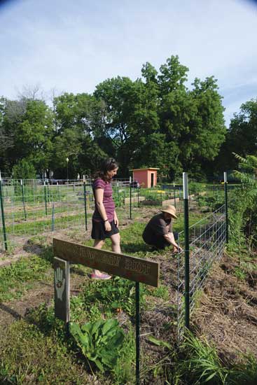 The 10 public garden spaces now part of Eileen Horn’s Common Ground project produced more than 60,000 dollars worth of produce in 2016.
